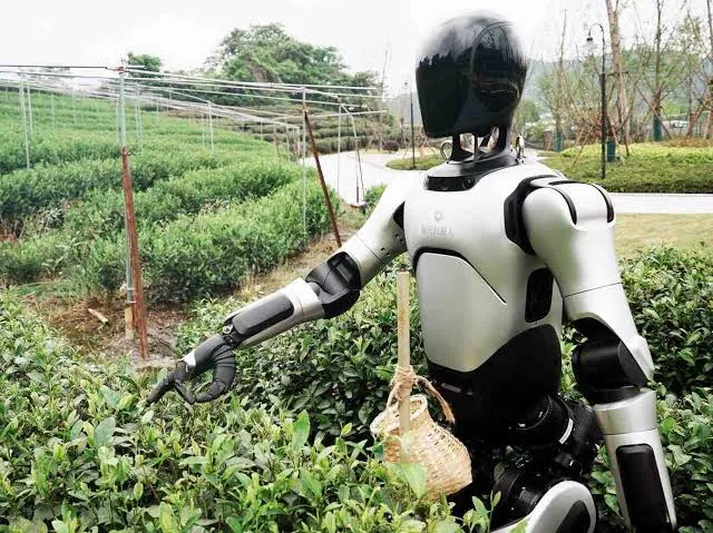 ITD Consulting analiza el robot humanoide y la carrera china por liderar la IA industrial
